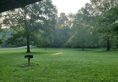 A serene park scene with green grass, trees, and a grill, illuminated by soft morning light.