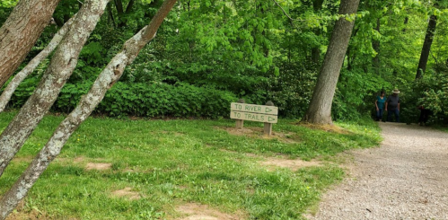 A path in a green forest with directional signs pointing to "River" and "Trails." Two people walk in the background.
