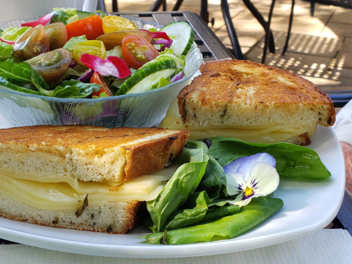 A plate with a grilled cheese sandwich, fresh salad, and a garnish of spinach and a flower.