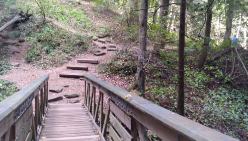 A wooden bridge leads into a forested area with stone steps and lush greenery on either side.