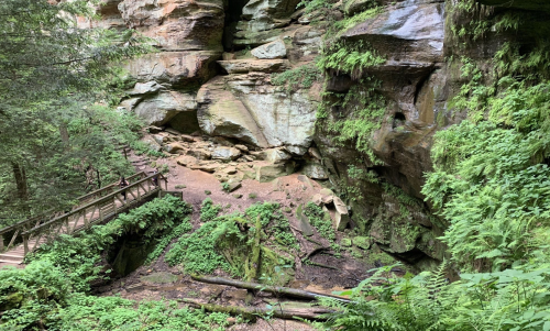 A lush, green forest scene with rocky cliffs, ferns, and a wooden bridge over a small stream.