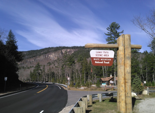 Sign for Lower Falls Scenic Area in White Mountain National Forest, with a winding road and trees in the background.