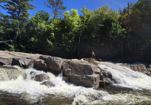 A person stands on a rocky riverbank, surrounded by lush green trees and flowing water under a clear blue sky.