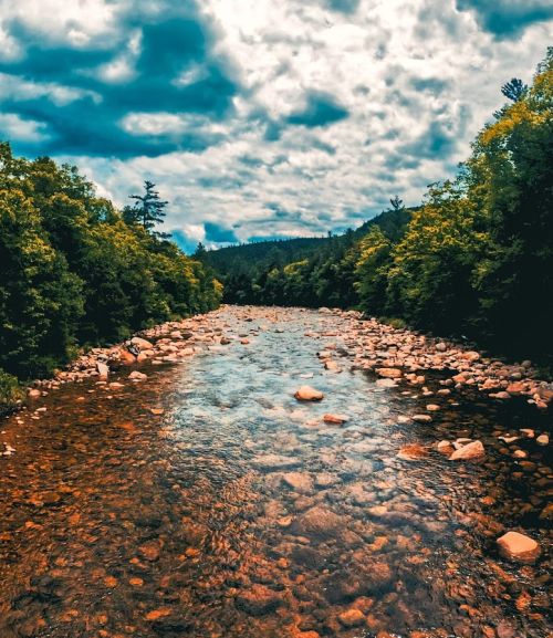 A serene river flows through a rocky bed, surrounded by lush green trees under a cloudy sky.