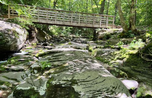 A wooden bridge spans a rocky stream surrounded by lush greenery and sunlight filtering through the trees.