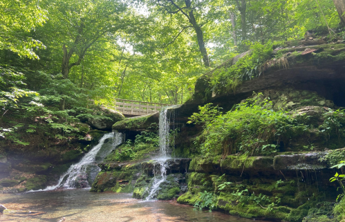 A serene forest scene featuring a small waterfall cascading over mossy rocks, surrounded by lush greenery.
