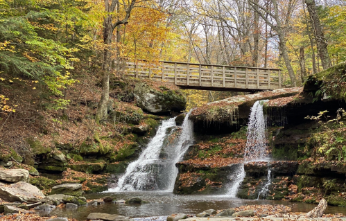 A serene waterfall cascades over rocks, with autumn foliage and a wooden bridge in the background.