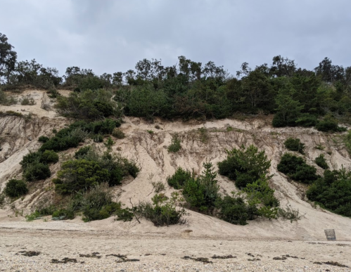 A sandy beach with a steep, green-covered hillside in the background under a cloudy sky.