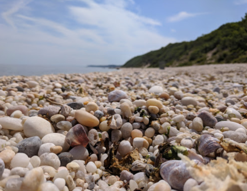 A close-up view of a pebbly beach with various small stones and shells, under a clear blue sky.