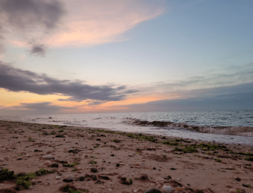 A serene beach at sunset, with gentle waves and a colorful sky, scattered pebbles, and seaweed along the shore.