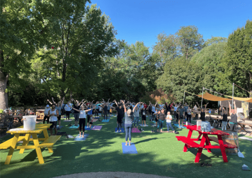 A group of people practicing yoga outdoors on a sunny day, surrounded by trees and colorful picnic tables.