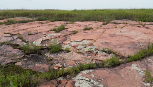 A rocky landscape with cracked pink stone and patches of green grass and small plants.