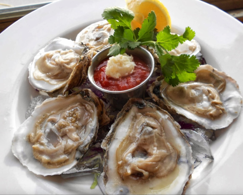 A plate of fresh oysters on ice, garnished with lemon, cilantro, and a small cup of cocktail sauce.
