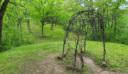 A rustic structure made of branches sits in a lush green forest clearing surrounded by trees.