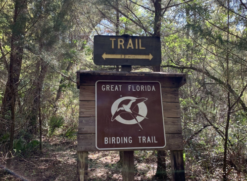Sign for the Great Florida Birding Trail, indicating a trail entrance surrounded by trees.