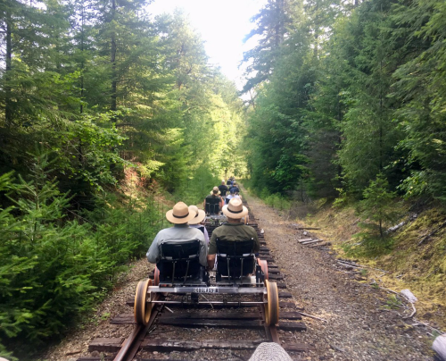 A group of people riding on a rail cart along a forested track, surrounded by tall trees and greenery.