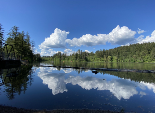 A serene lake reflecting fluffy clouds and lush green trees under a bright blue sky.