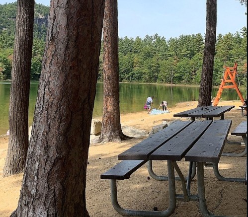 A serene lakeside scene with trees, a sandy beach, and two people near the water, with picnic tables in the foreground.