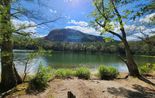A serene lake surrounded by trees and mountains under a bright blue sky with fluffy clouds.
