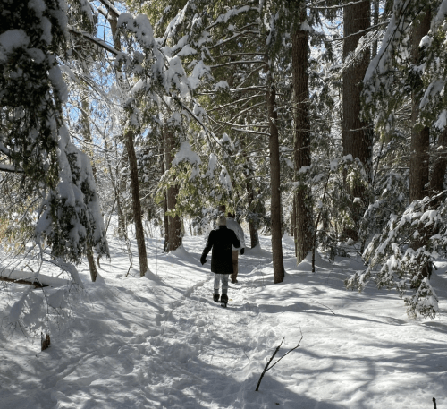 A person walks through a snowy forest, surrounded by tall trees and a blanket of fresh snow.