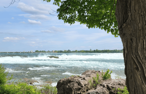 A serene view of a river with flowing water, framed by a tree and rocky shoreline under a blue sky.