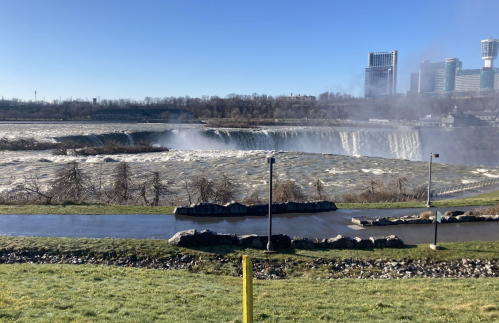 A view of Niagara Falls with rushing water and mist, surrounded by greenery and city buildings in the background.