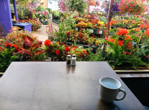 A table with a cup of water and salt shakers, overlooking a vibrant garden filled with colorful flowers and plants.