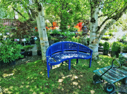 A blue bench sits under trees in a garden center, surrounded by potted plants and a cart.