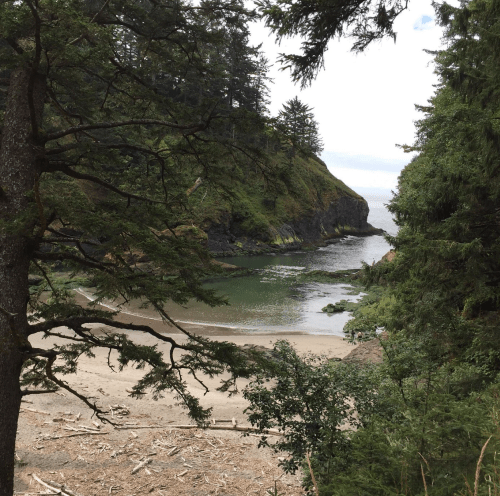 A serene coastal scene with a sandy beach, surrounded by trees and rocky cliffs under a cloudy sky.