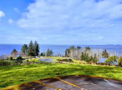 Scenic view of a calm ocean with trees and a grassy area in the foreground under a partly cloudy sky.