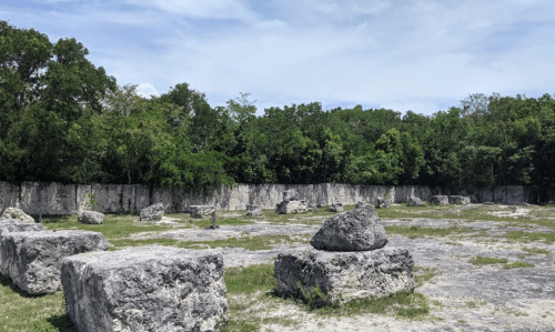 Ancient stone ruins scattered across a grassy area, surrounded by lush green trees under a clear blue sky.