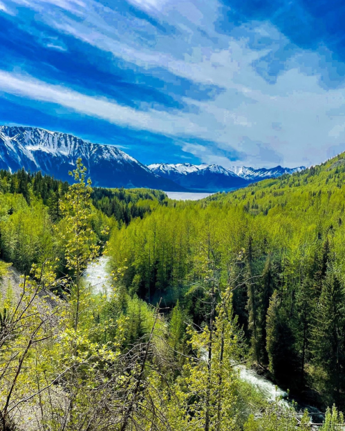 A scenic view of lush green forests and snow-capped mountains under a bright blue sky with wispy clouds.