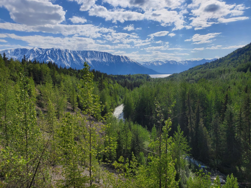 A scenic view of lush green forests and a winding river, with snow-capped mountains under a blue sky.