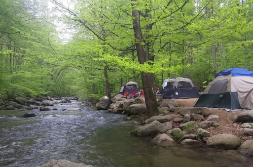 A serene river flows beside green trees and tents set up along the bank, creating a peaceful camping scene.