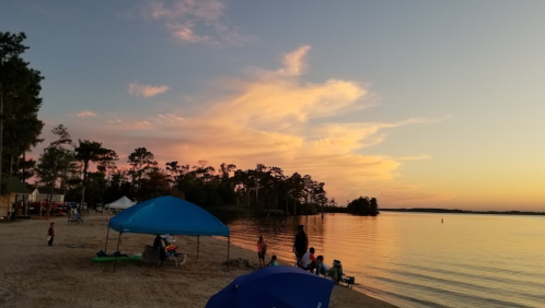 A serene beach at sunset, with colorful clouds reflecting over calm water and silhouettes of trees in the background.
