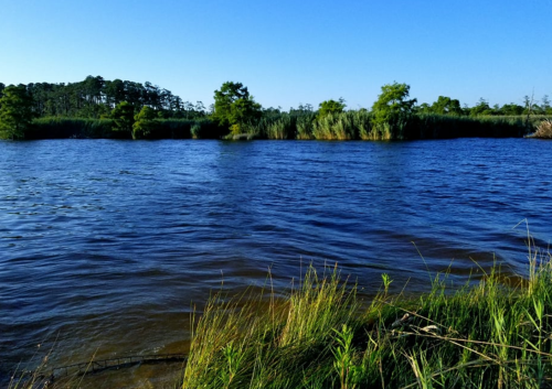 A serene river scene with gentle waves, surrounded by lush greenery and trees under a clear blue sky.