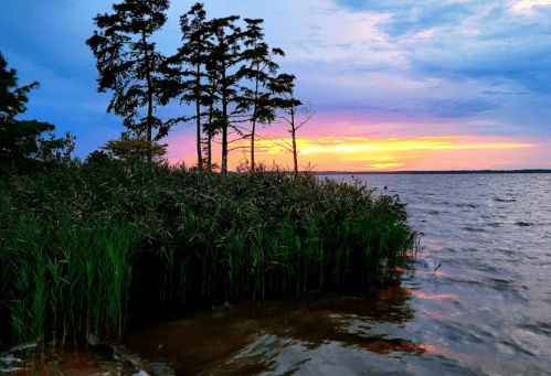 A serene lakeside scene at sunset, featuring tall trees, lush grass, and colorful skies reflecting on the water.