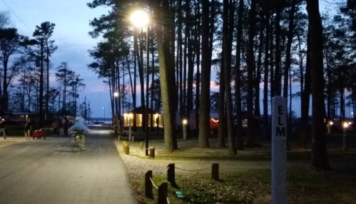 A quiet road lined with trees at dusk, featuring a sign labeled "ELM" and a distant building with warm lights.
