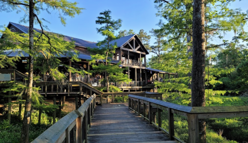 A wooden walkway leads to a large, rustic building surrounded by trees and greenery under a clear blue sky.