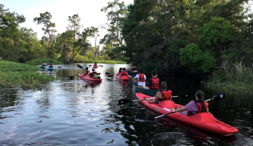 A group of people kayaking in red kayaks on a calm river surrounded by greenery and trees.