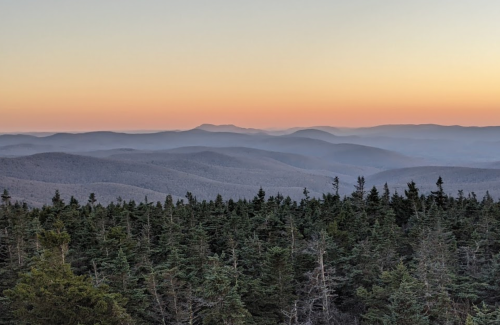 A serene landscape of layered mountains at sunset, with a foreground of dense evergreen trees.