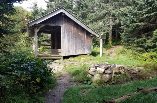A rustic wooden shelter surrounded by trees and a grassy path, with a stone fire pit nearby.