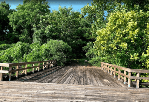 A wooden bridge leads into a lush green area with trees and foliage on either side.