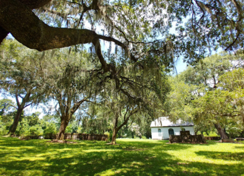 A serene landscape featuring large trees with Spanish moss and a small white building in a lush green park.