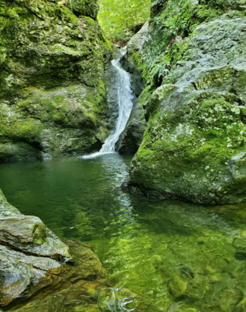 A serene waterfall cascades into a clear pool, surrounded by moss-covered rocks and lush greenery.