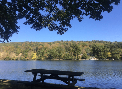 A serene river scene with a picnic table in the foreground and colorful trees lining the opposite bank under a clear blue sky.