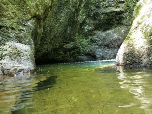 A serene natural pool surrounded by moss-covered rocks and lush greenery, reflecting the calm water.