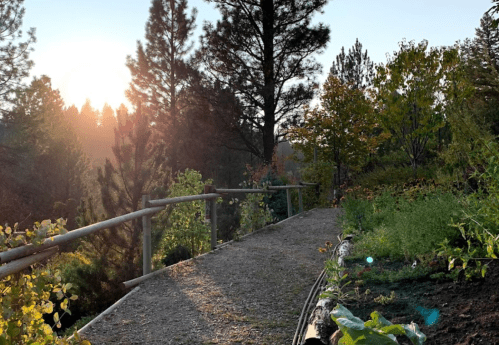 A serene pathway through a garden, with trees and a sunset in the background, creating a peaceful atmosphere.