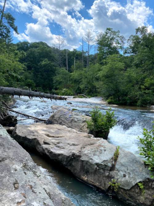 A serene river flows over rocks, surrounded by lush greenery and trees under a partly cloudy sky.