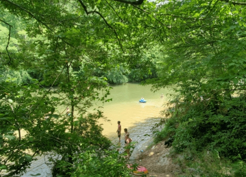 A serene river scene framed by lush greenery, with people swimming and relaxing along the water's edge.